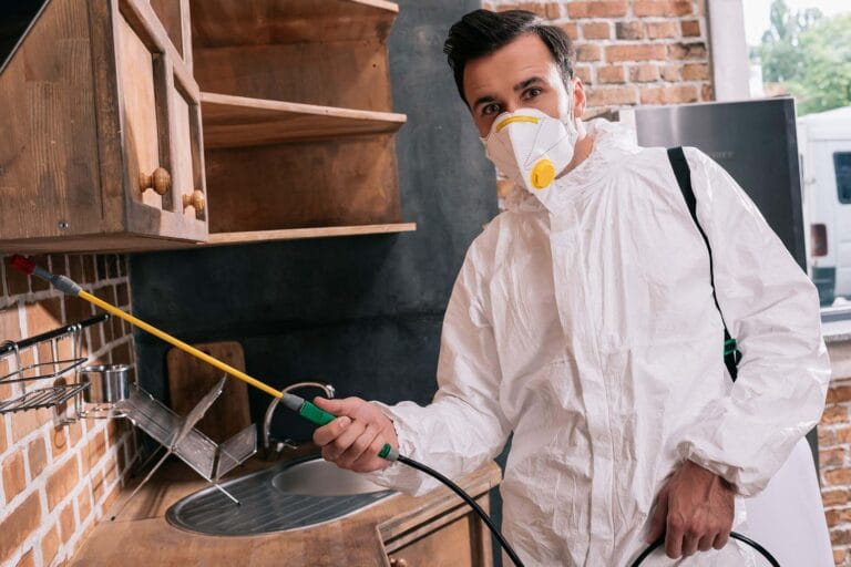 Technician spraying pest treatment under shop shelves