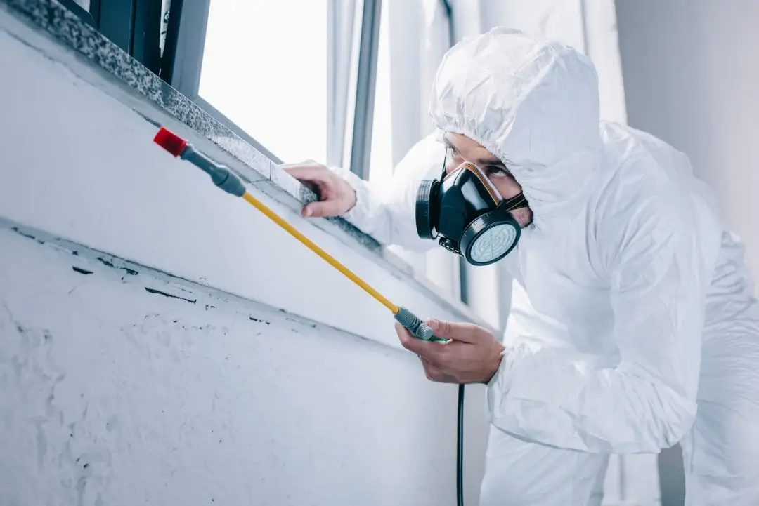 Technician treating a gap under a window
