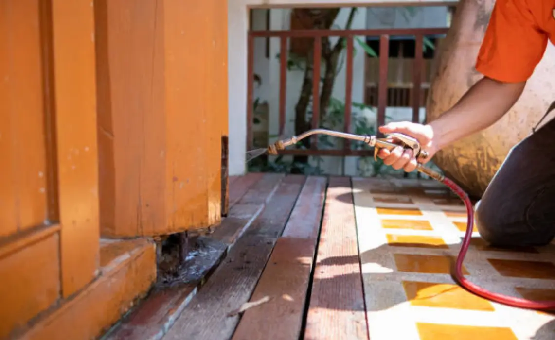 termite control Abu dhabi