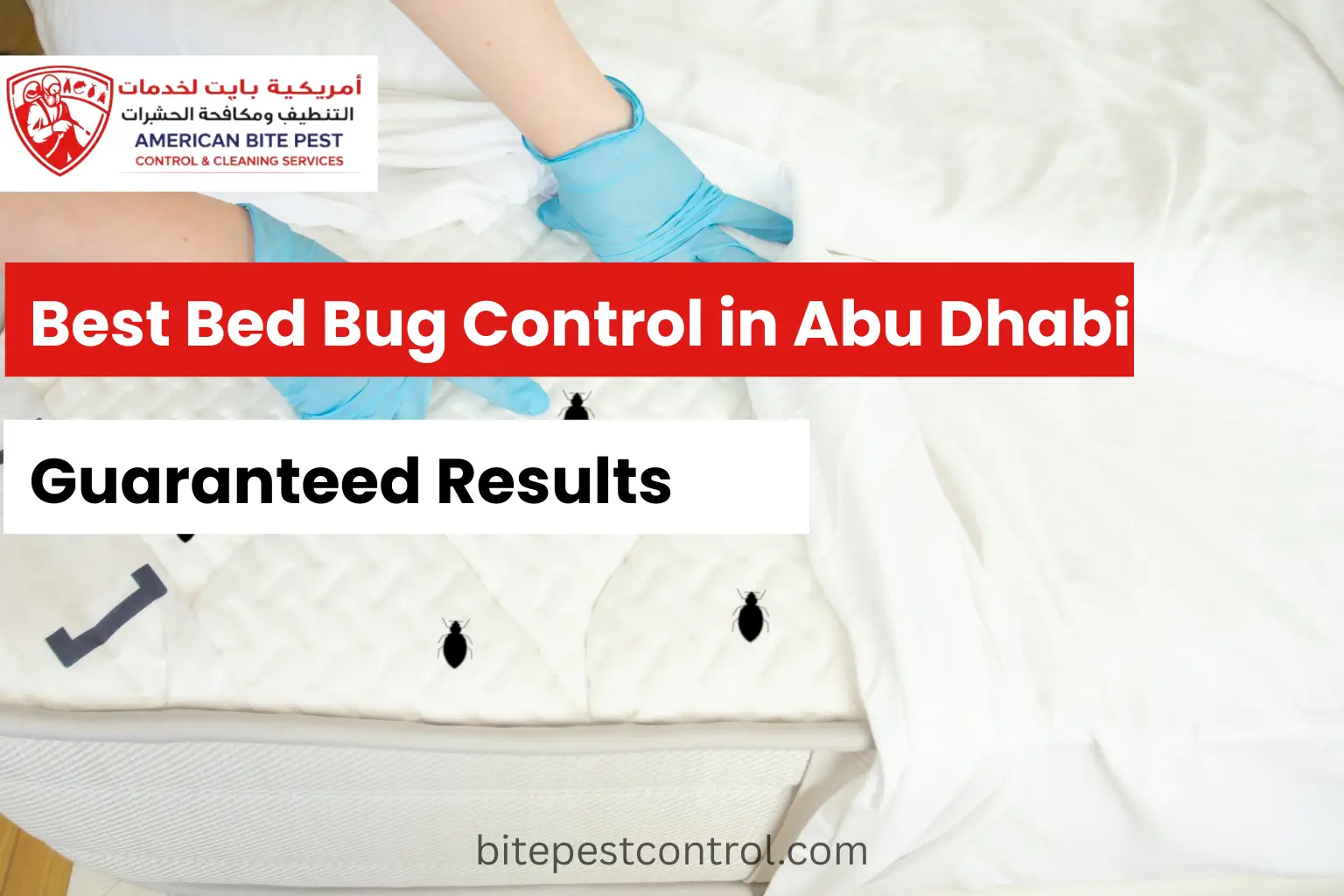 Best Bed Bug Control in Abu Dhabi