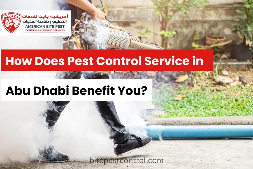 How Does Pest Control Service in Abu Dhabi Benefit You?