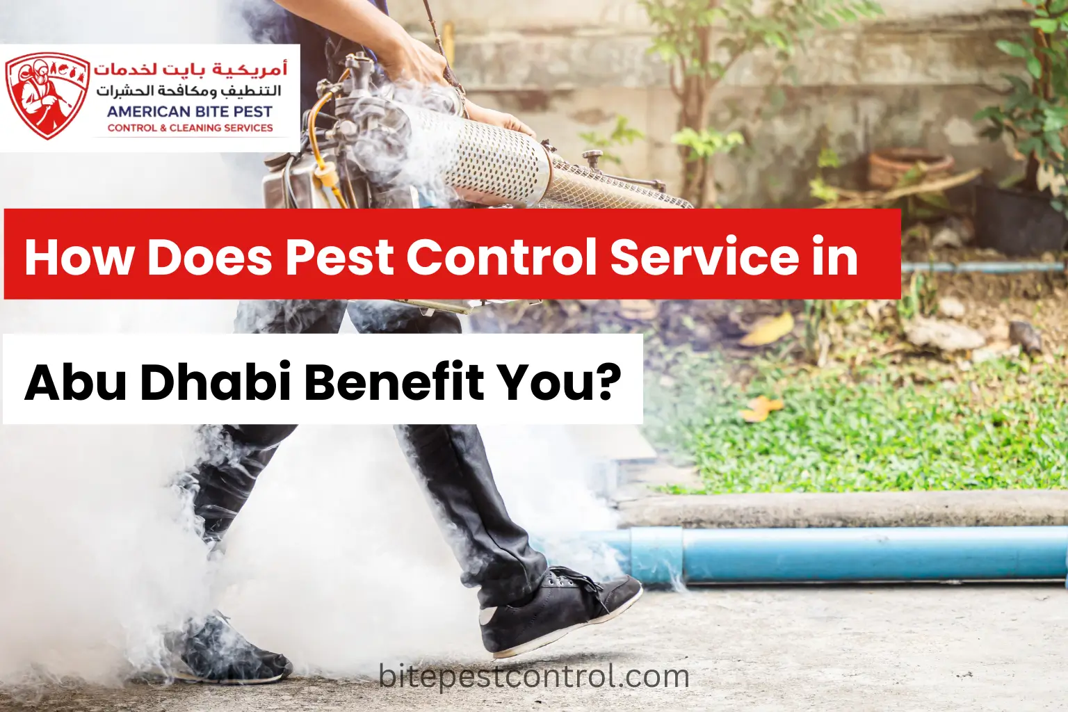 How Does Pest Control Service in Abu Dhabi Benefit You?