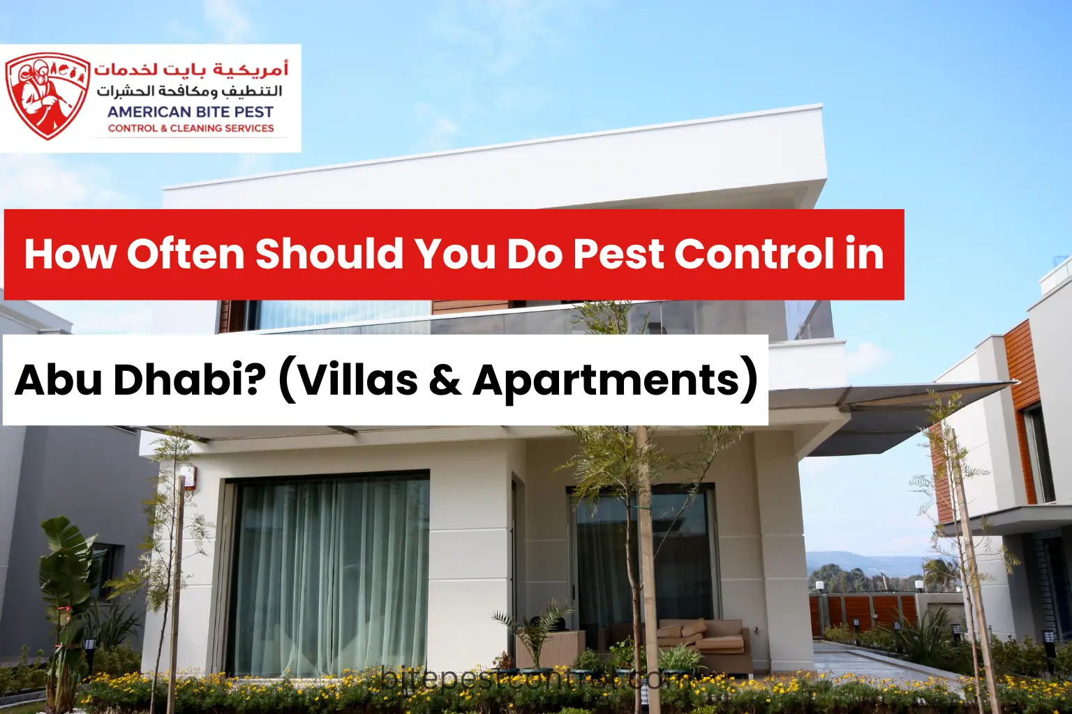 How Often Should You Do Pest Control in Abu Dhabi?