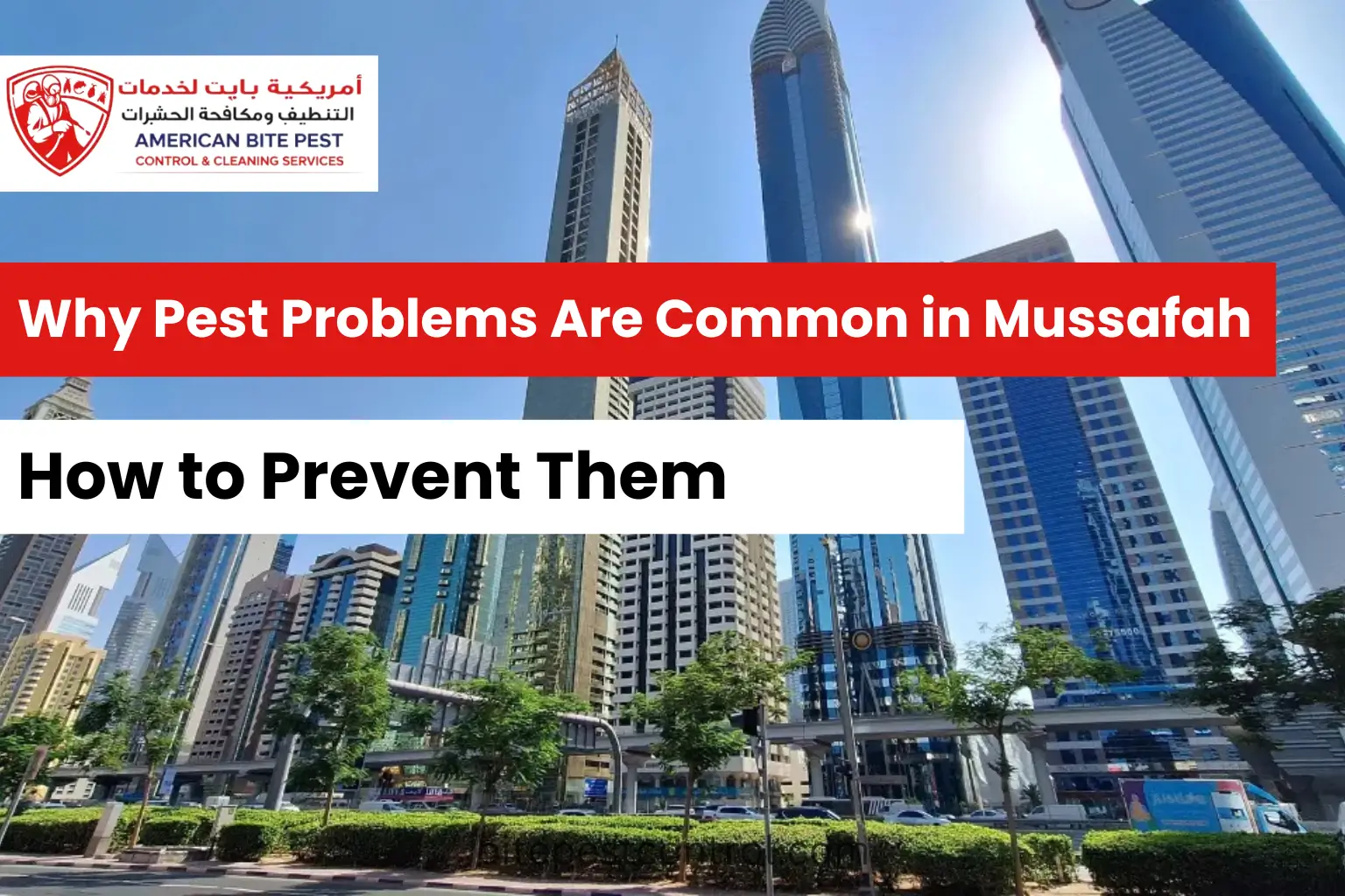 How often to do pest control in Abu Dhabi homes