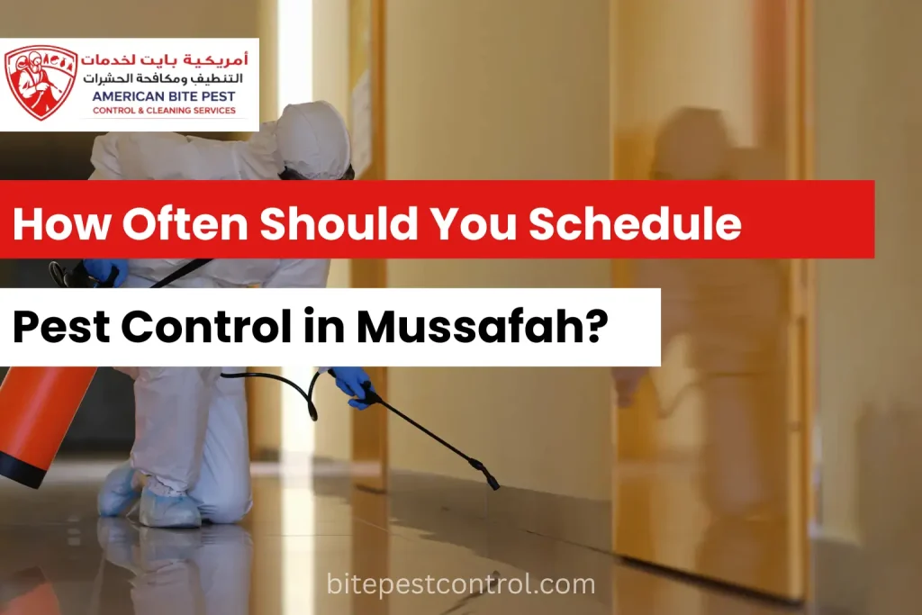 How Often Should You Schedule Pest Control in Mussafah?
