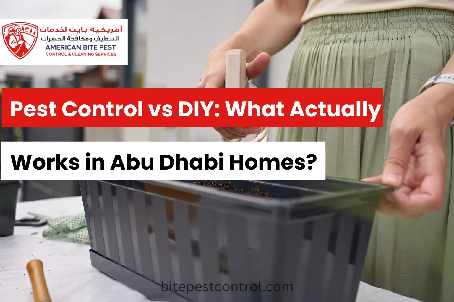 Pest Control vs DIY