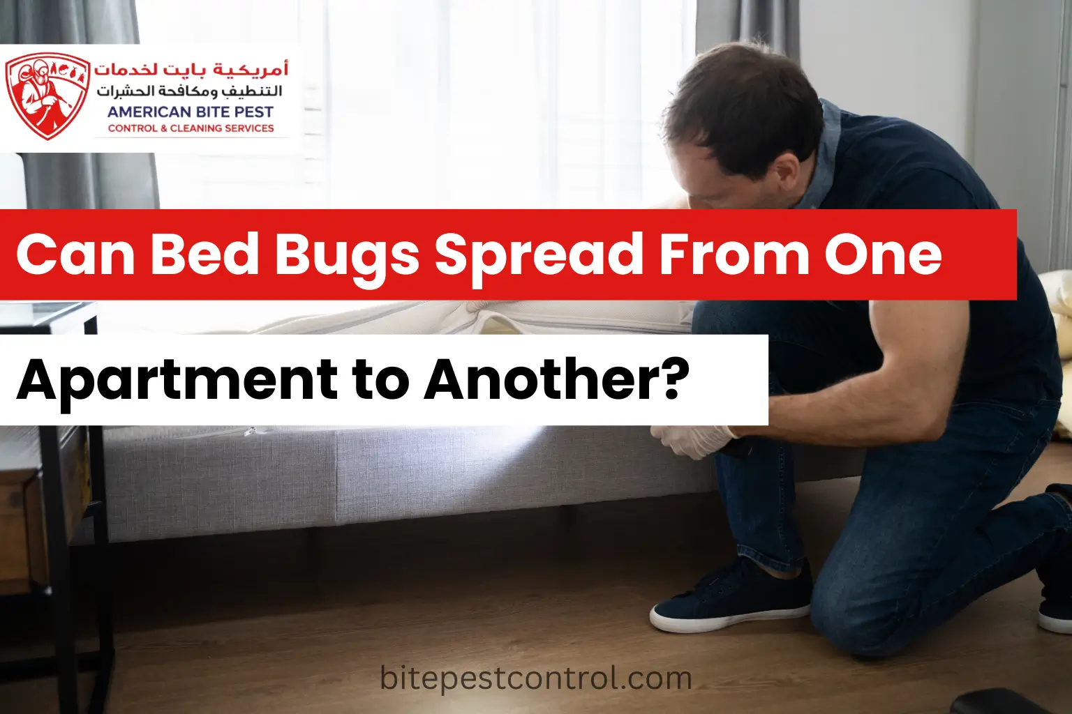 Can Bed Bugs Spread From One Apartment to Another
