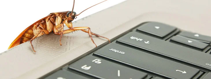 Cockroach-on-Keyboard