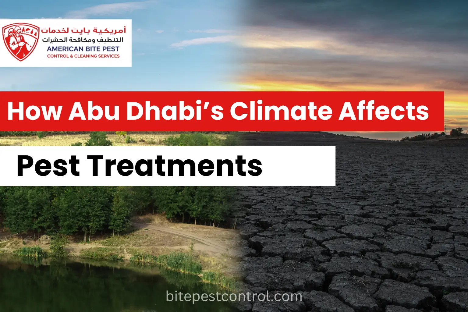 How Abu Dhabi’s Climate Affects Pest Treatments