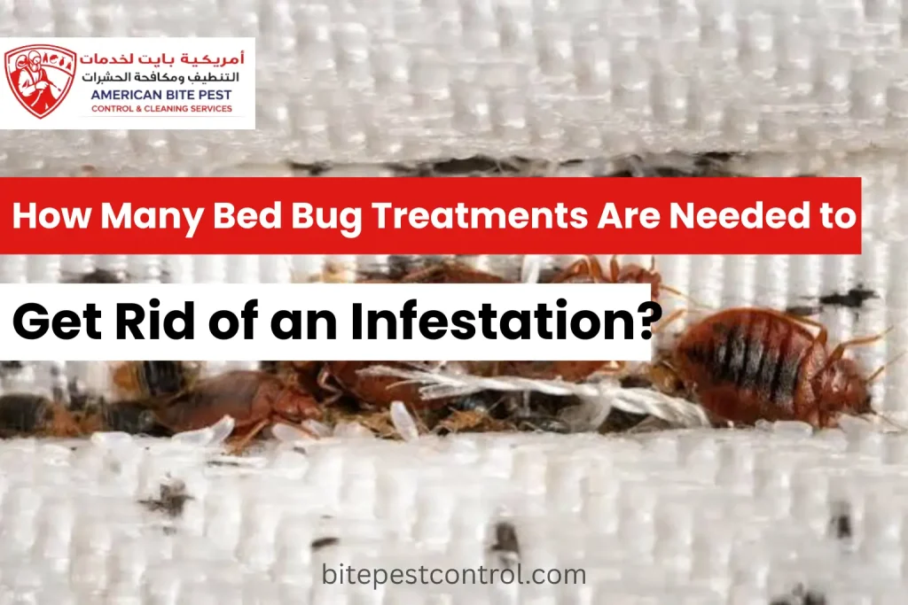 How Many Bed Bug Treatments Are Needed to Get Rid of an Infestation