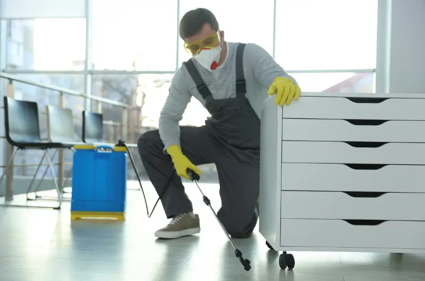 Office Pest Control in Abu Dhabi