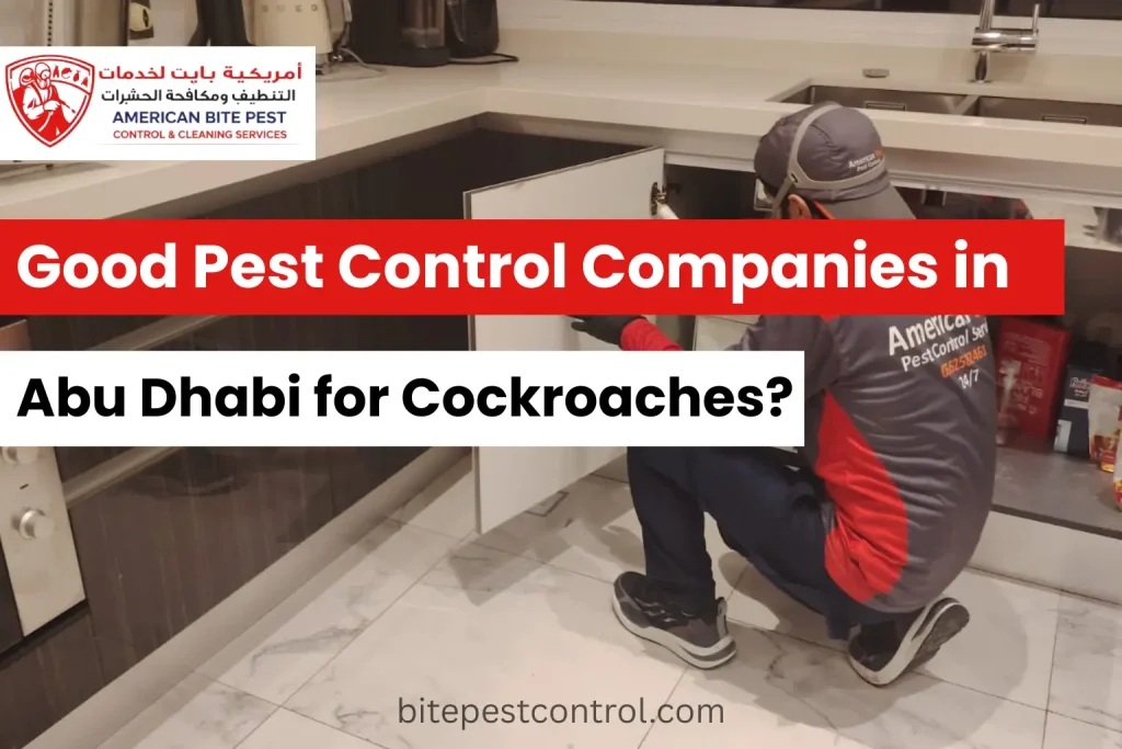 Pest Control Companies in Abu Dhabi for Cockroaches