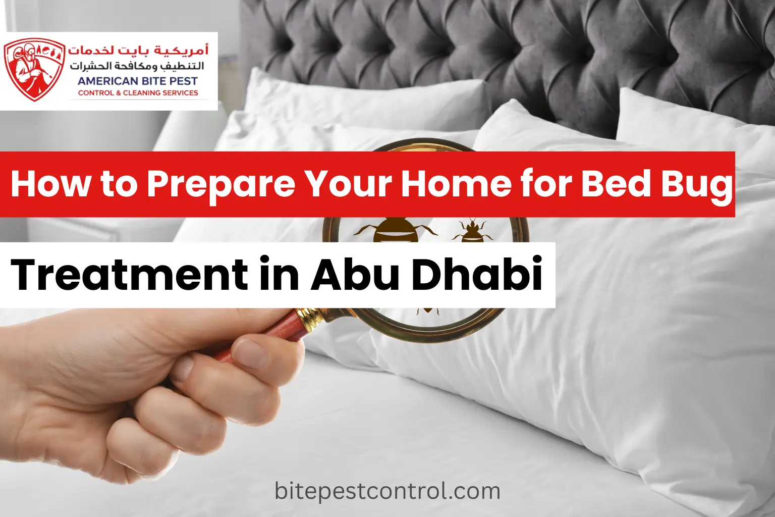 Prepare Your Home for Bed Bug Treatment in Abu Dhabi (1)