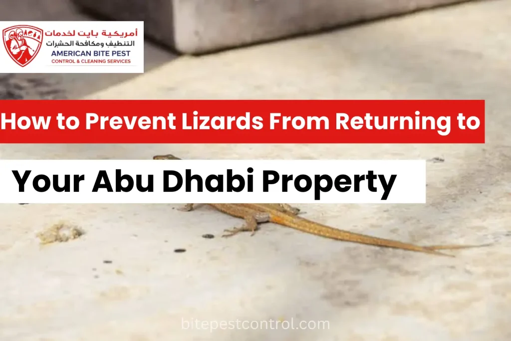 Prevent Lizards From Returning to home