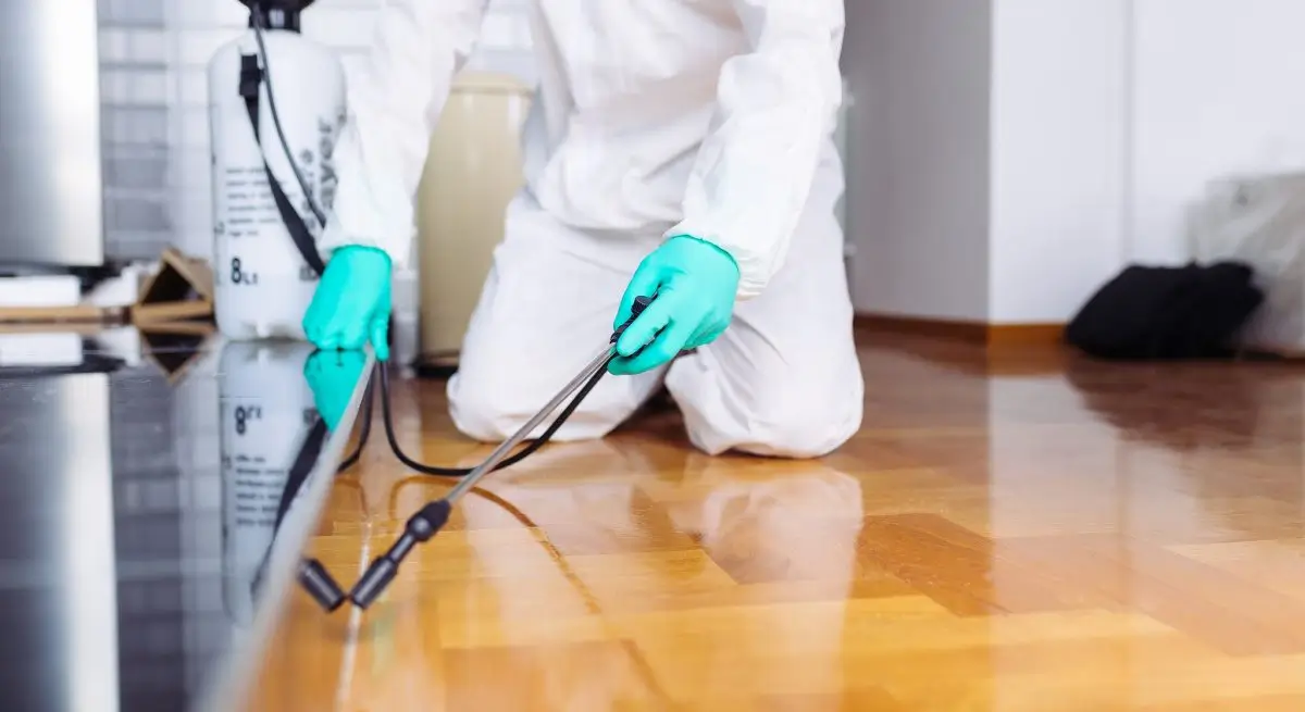 Restaurant Pest Control abu dhabi