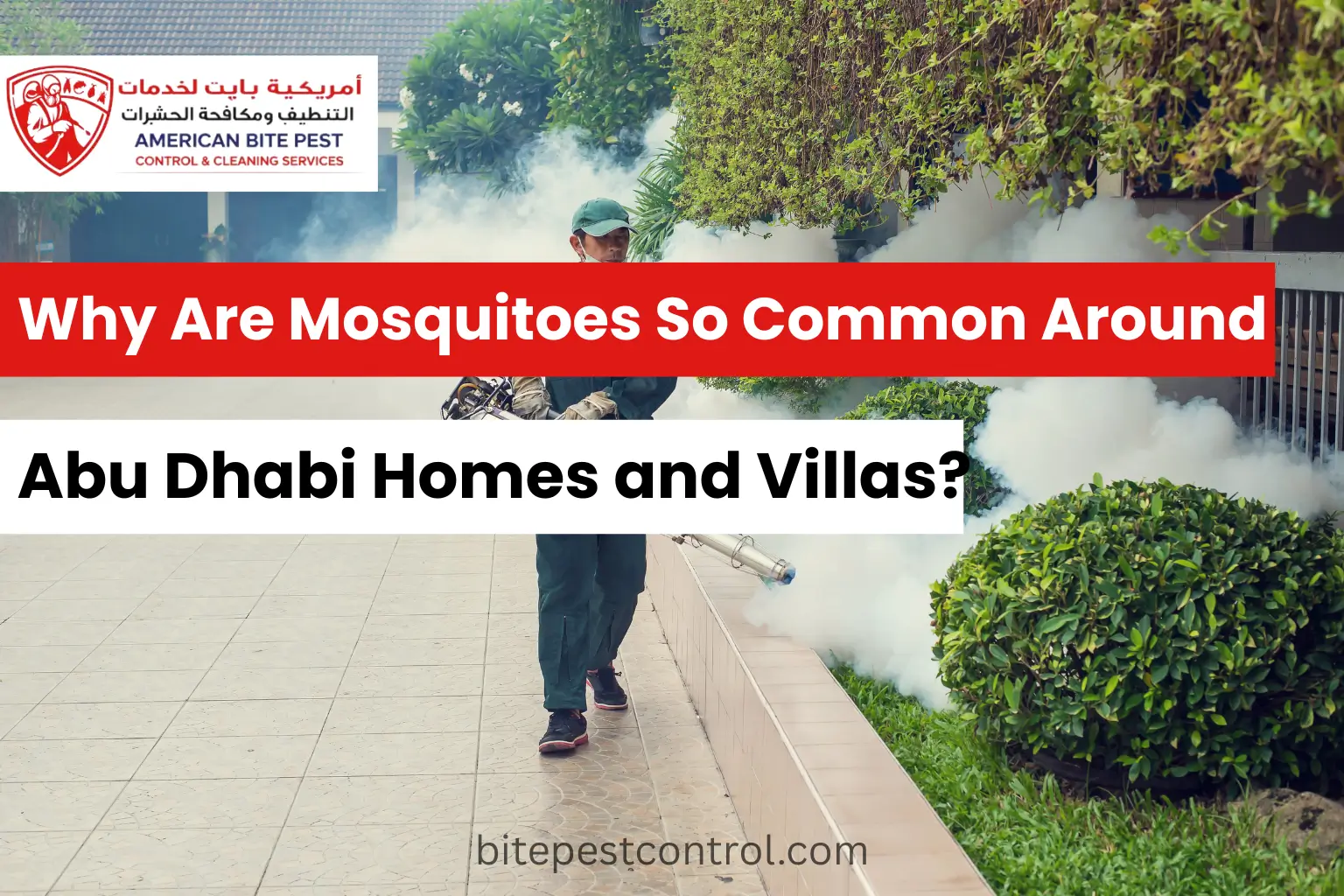 Why Are Mosquitoes So Common Around Abu Dhabi Homes and Villas (1)
