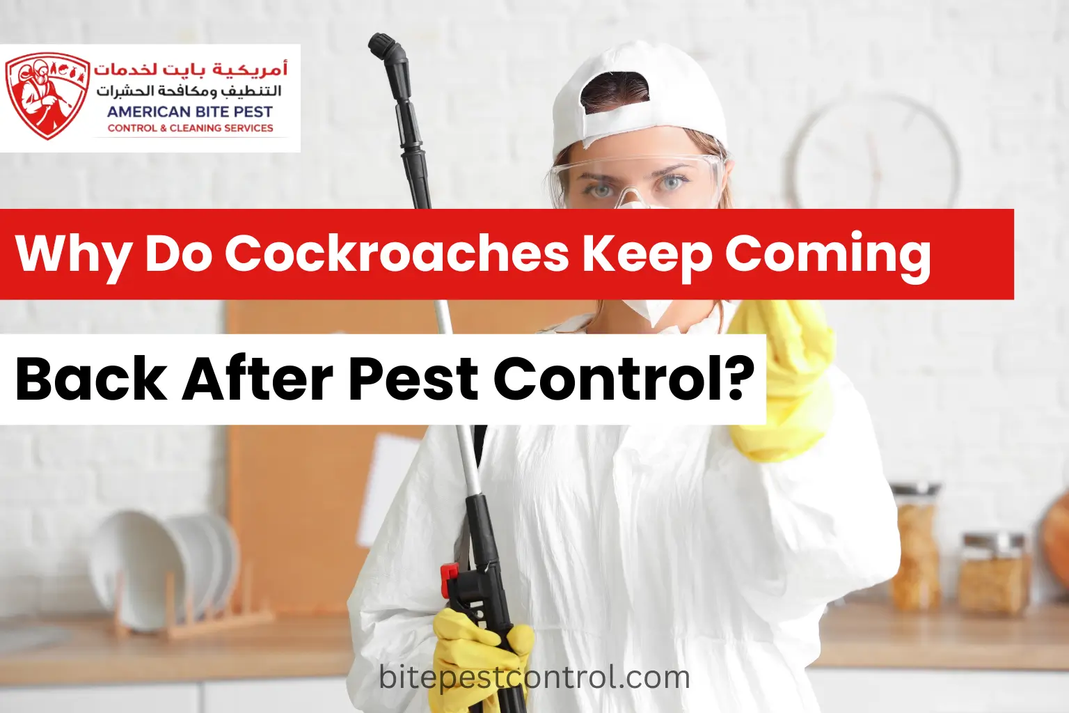 Why Do Cockroaches Keep Coming Back After Pest Control?