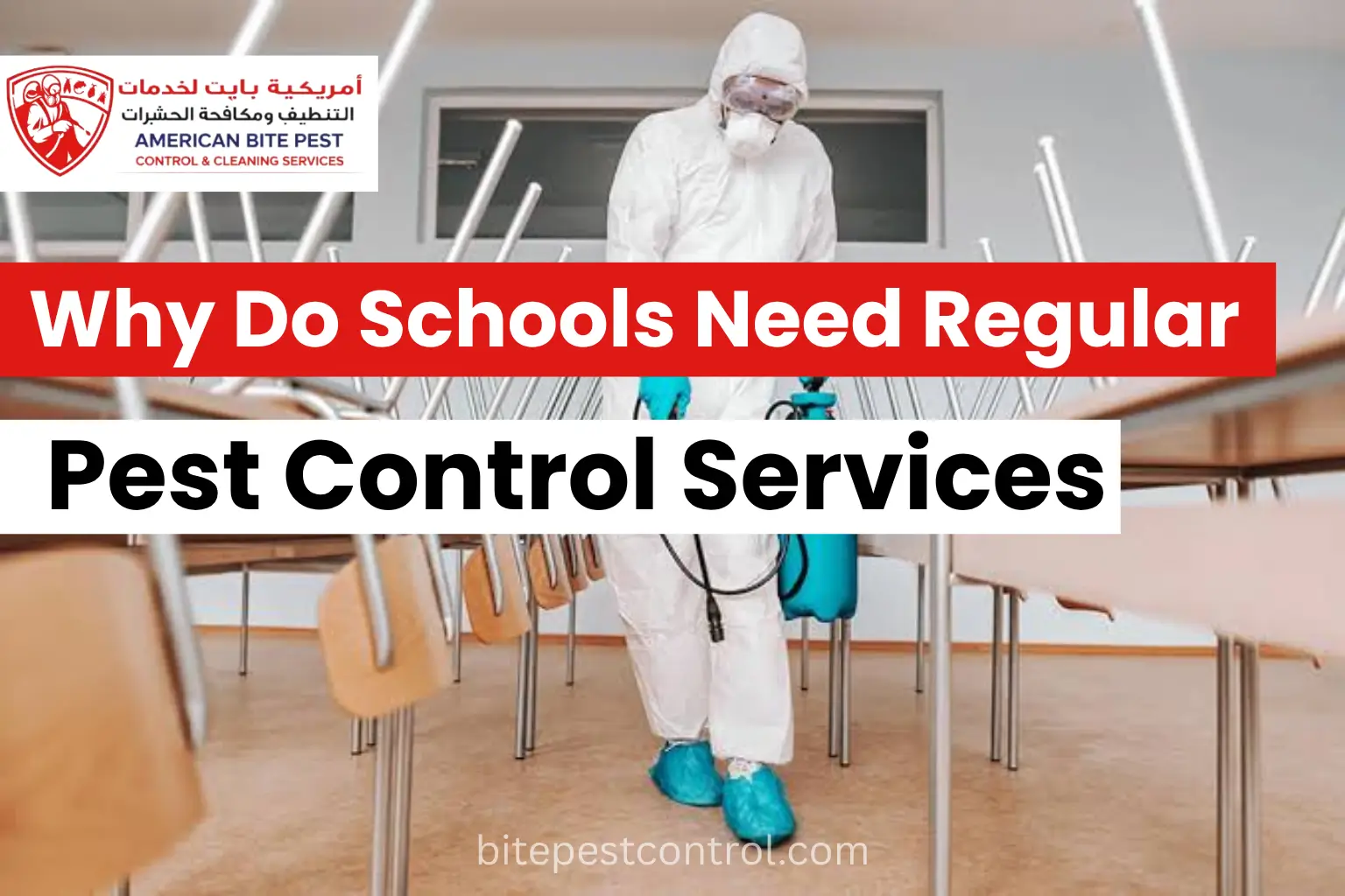 Why Do Schools Need Regular Pest Control Services