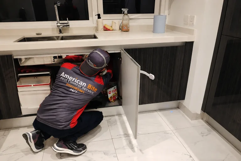 Worker inspecting sink under cabinet (2) (1)