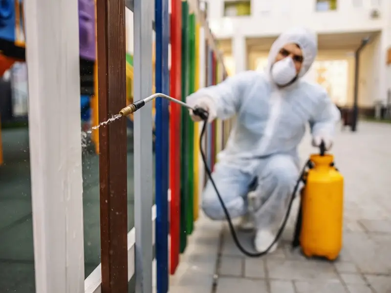 pest control in school