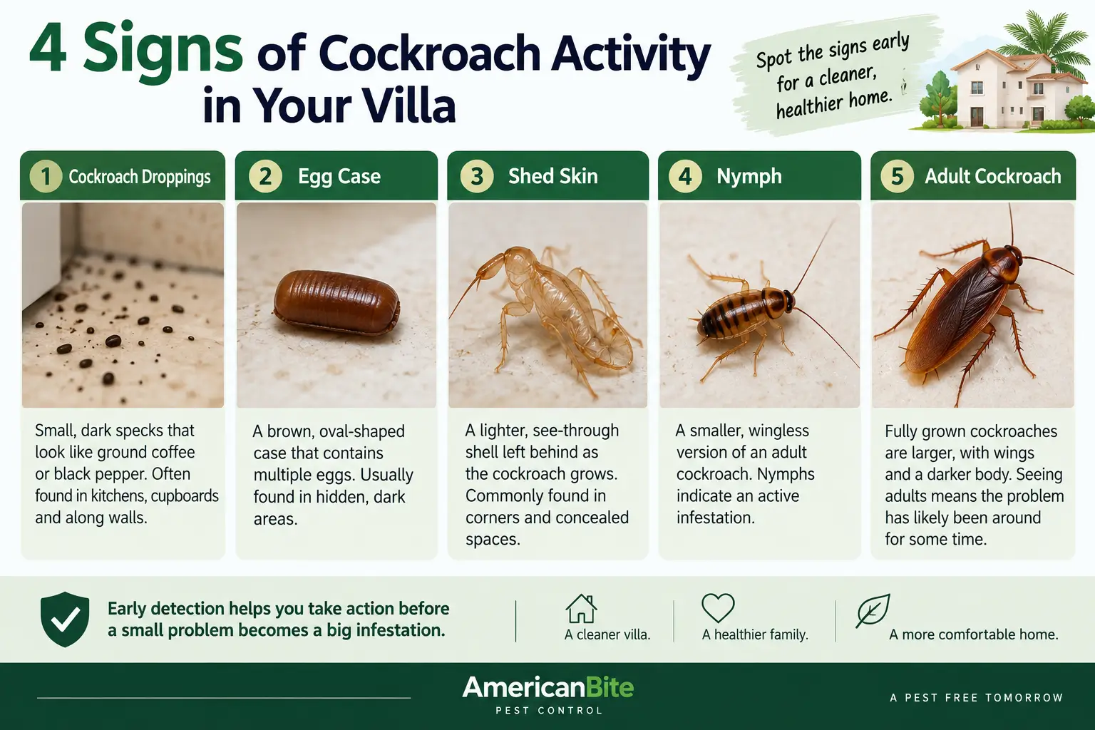 4 Signs of Cockroach Activity in Your Villa”