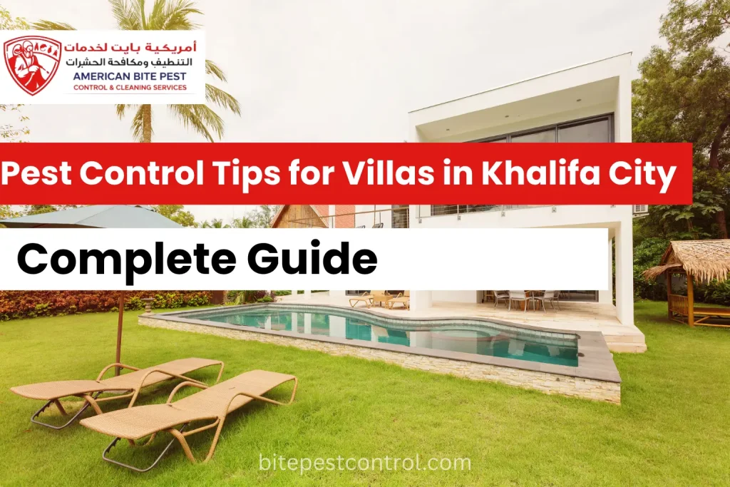 Pest Control Tips for Villas in Khalifa City