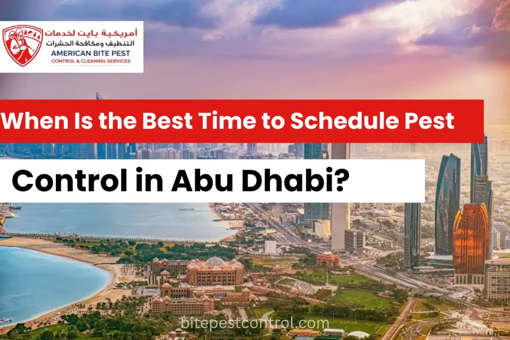 When Is the Best Time to Schedule Pest Control in Abu Dhabi?