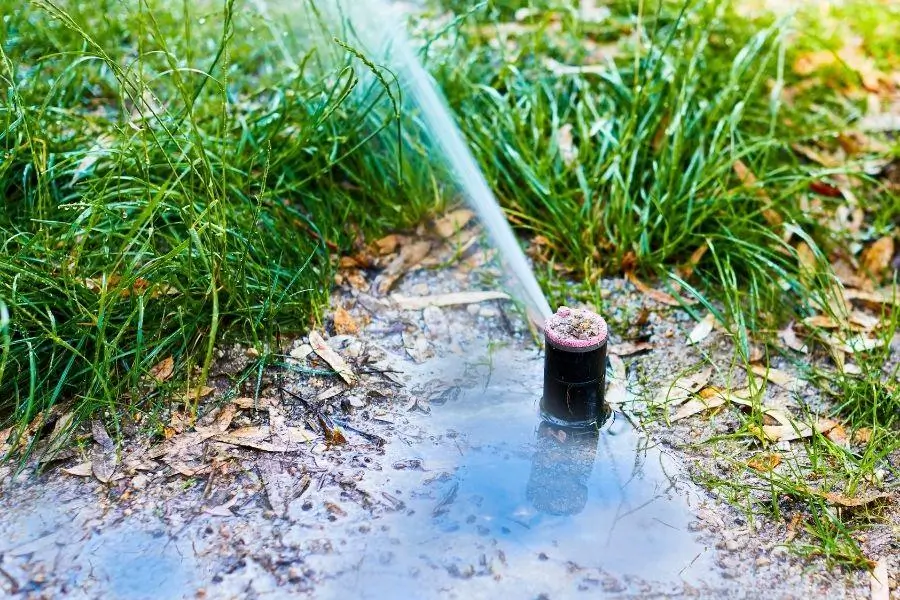 garden irrigation problem