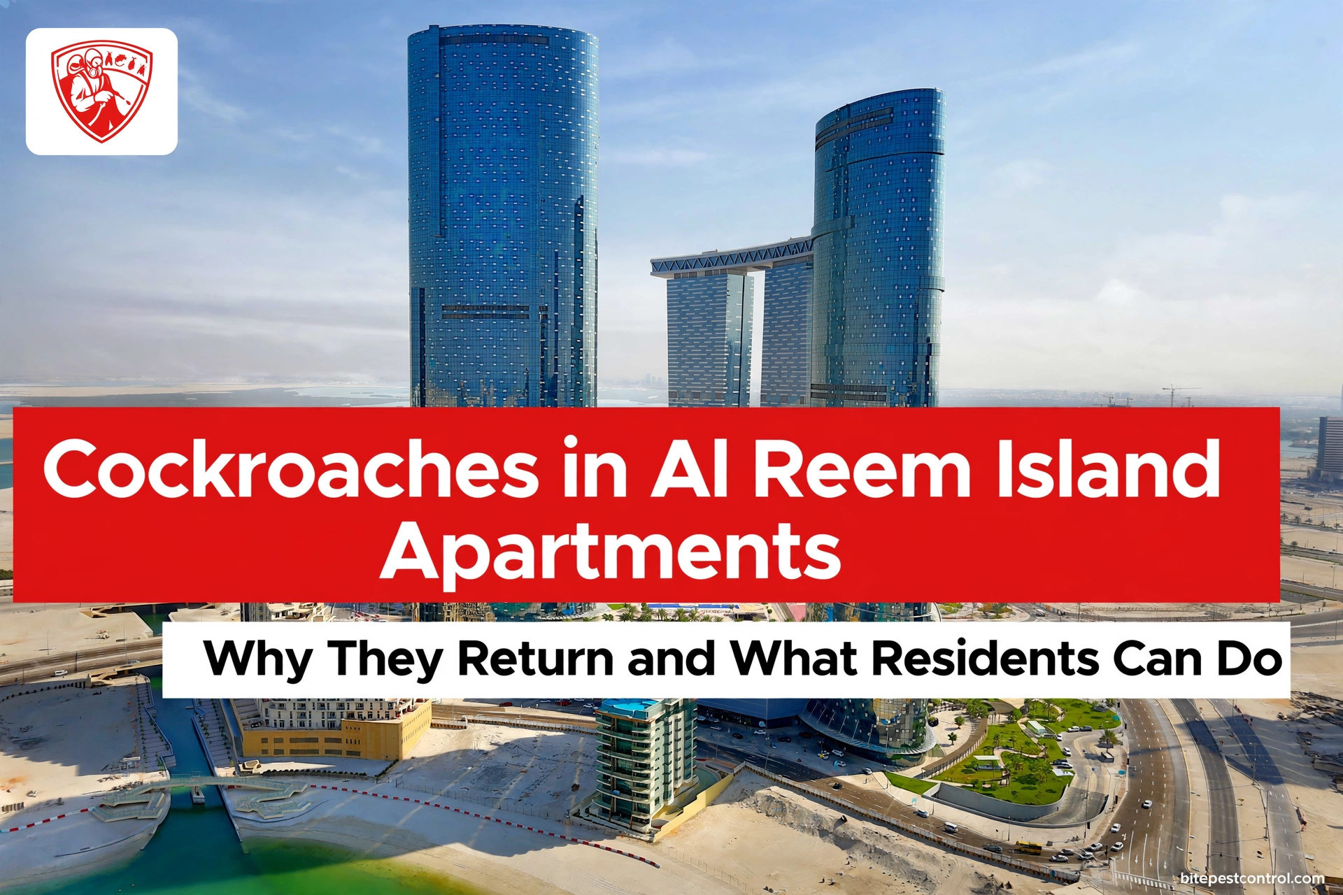 Cockroaches in Al Reem Island Apartments: Why They Return and What Residents Can Do